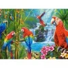 Image de Castorland Réunion de Perroquets