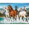 Image de Castorland Call of Nature
