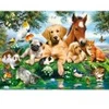 Image de Castorland Summer Pals