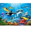Image de Castorland Tropical Underwater World