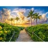 Image de Castorland Miami, USA