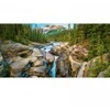 Image de Castorland Mistaya Canyon, Banff National Park, Canada