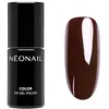 Image de NÉONAIL Vernis Semi Permanent Couleur 7,2 ml - Vernis Gel UV Semi Permanent - Violet - Midnight Love Story - Vernis à Ongles - Gel Polish - Gel UV Couleur - Nail Art
