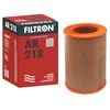Image de FILTRON, AR 218 Filtre à air