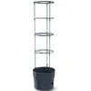 Image de Jardinière de tomates Prosperplast Jardinière de tomates en plastique de couleur anthracite 29,5 (L) x 29,5 (l) x 23,6-115,2 (H) cm