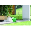 Image de Prosperplast Arrosoir 10 l vert Spring
