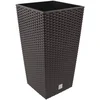 Image de Marmite Rato 49 litres avec insert 32,5 x 32,5 x 61 cm en couleur ocre foncé
