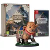 Image de Laysara Summit Kingdom - Édition Collector - Jeu Switch