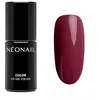 Image de NÉONAIL Vernis Semi Permanent Couleur 7,2 ml - Vernis Gel UV Semi Permanent - Rouge - Ripe Cherry - Vernis à Ongles - Gel Polish - Gel UV Couleur - Nail Art
