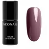 Image de NÉONAIL Vernis Semi Permanent Couleur 7,2 ml - Vernis Gel UV Semi Permanent - Marron - Jolly State - Vernis à Ongles - Gel Polish - Gel UV Couleur - Nail Art