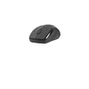 Image de Tracer TRAMYS44901 Souris RF Wireless Optical 1600 DPI Right-Hand Black - Souris (Right-Hand, Optical, RF Wireless, 1600 DPI, Black)
