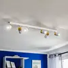 Image de Luminex Spot pour plafond Rondo blanc/doré à 6 lampes