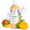 Image de Shampooing So!Flow Équilibré et Hydratant Spécialement Formulé pour Cheveux à Porosité Moyenne avec Aloé & Panthénol - Nourrit, Brillance et douceur au quotidien, Formule naturelle un soin doux