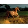 Image de DToys Cheval Chestnut