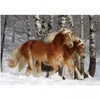 Image de DToys Puzzle Spécial / Difficile : Cheval Haflinger n°3