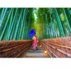 Image de Enjoy Puzzle Asian Woman in Bamboo Forest