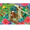 Image de Enjoy Puzzle Sweet Sloths