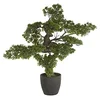Image de PEGANE Bonsai Artificiel géant avec Pot en Plastique/Ciment - Dim : H 80 x L 80 x P 60 cm