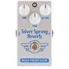 Image de Silver Spring Reverb