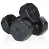Image de Gymstick Vinyl S 2 X 2kg Dumbbell 2 kg