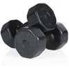 Image de Gymstick Vinyl Dumbbells 2 X 5 Kg 5 kg