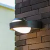 Image de LUTEC Applique d'extérieur LED FELE, gris foncé, 20 cm, métal, IP54