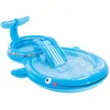Image de Intex - Centre de Jeu d'eau, Centre de Jeu Aquatique, 373 x 234 x 99 cm, 235 litres, 81 kg, Sol rembourré, Piscine avec Toboggan, avec pulvérisateur, Piscine pour Enfants + 2 Ans (57176)