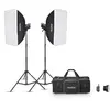 Image de GODOX - MS 300 VF