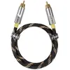 Image de Câbles coaxiaux FiiO LR-RCA5M