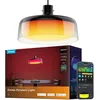Image de Govee RGBICWW H60C13F1 Lampe suspendue Éclairage intelligent Noir