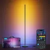Image de Lampe connectée GOVEE Lampadaire RGBICW 136 CM