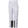 Image de HELLY HANSEN Switch Cargo 2.0 Pants L