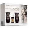 Image de Saryna Key Kit d'entretien (shampooing de karité africain, 40 ml + beurre de karité, 40 ml + huile de traitement, 10 ml), 90 ml