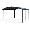 Image de Palram Arcadia Carport 5000 Aluminium et Polycarbonate Abri de Voiture Gris, 18 m²