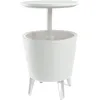 Image de Keter Porte-Glace 49,5 x 84,5 x 49,5 cm 49.5x84.5x49.5 cm Blanc
