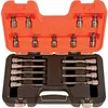Image de Juego Vasos 1/2 Puntas Torx