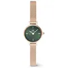 Image de Daniel Wellington Petite Montre 19 Stainless Steel with Pvd Plated Rose Gold Rose Gold