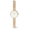 Image de Daniel Wellington Petite Montre 19 Stainless Steel with Pvd Plated Gold Gold