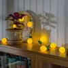 Image de Konstsmide Season Guirlande lumineuse LED Ananas, sur pile