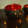 Image de Konstsmide Christmas Guirlande LED Micro 100 lampes vert foncé/ambré