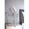 Image de lampe à poser Globen Lighting Hubble READ, beige, hauteur 45