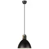 Image de SUSPENSION EAGLE E27 60W D22 H21 BL/LE