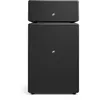 Image de Audio Pro Drumfire II W Haut-parleur WiFi et Bluetooth 300 W, Multiroom, AirPlay 2, Google Cast, Spotify Connect Noir