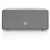 Image de Audio Pro D-2W - Enceinte WiFi et Bluetooth, Multiroom, AirPlay 2, Google Cast, Spotify Connect - Gris
