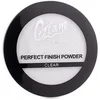 Image de Perfect Finish Powder 8 Gr