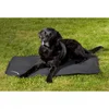 Image de Dog Copenhagen Back-on-Track Matelas de Cage pour Chien Noir Taille S