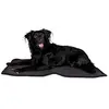 Image de Dog Copenhagen Back-on-Track Matelas de Cage pour Chien Noir Taille L