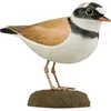 Image de WILDLIFEGARDEN - Decobird Petit Gravelot