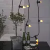 Image de STAR TRADING Ampoule bougie LED E14 Flame lamp 1.800K