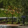 Image de STAR TRADING Lampe solaire LED Firework en lot avec piquets